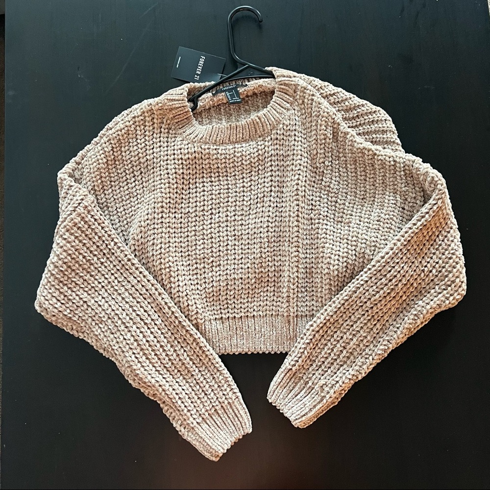NWT Forever21 Brown Sweater